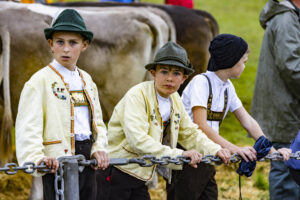 Appenzell, Appenzell Ausserrohden, Brauchtum, Landwirtschaft, Ostschweiz, Schweiz, Speicher, Suisse, Switzerland, Viehschau, Wirtschaft
