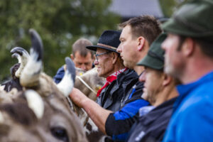 Appenzell, Appenzell Ausserrohden, Brauchtum, Landwirtschaft, Ostschweiz, Schweiz, Speicher, Suisse, Switzerland, Viehschau, Wirtschaft