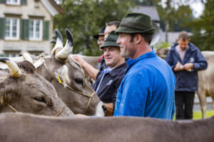 Appenzell, Appenzell Ausserrohden, Brauchtum, Landwirtschaft, Ostschweiz, Schweiz, Speicher, Suisse, Switzerland, Viehschau, Wirtschaft