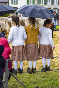 Appenzell, Appenzell Ausserrohden, Brauchtum, Landwirtschaft, Ostschweiz, Schweiz, Speicher, Suisse, Switzerland, Viehschau, Wirtschaft