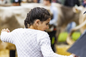 Appenzell, Appenzell Ausserrohden, Brauchtum, Landwirtschaft, Ostschweiz, Schweiz, Speicher, Suisse, Switzerland, Viehschau, Wirtschaft