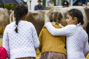 Appenzell, Appenzell Ausserrohden, Brauchtum, Landwirtschaft, Ostschweiz, Schweiz, Speicher, Suisse, Switzerland, Viehschau, Wirtschaft