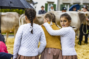 Appenzell, Appenzell Ausserrohden, Brauchtum, Landwirtschaft, Ostschweiz, Schweiz, Speicher, Suisse, Switzerland, Viehschau, Wirtschaft