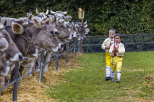 Appenzell, Appenzell Ausserrohden, Brauchtum, Landwirtschaft, Ostschweiz, Schweiz, Speicher, Suisse, Switzerland, Viehschau, Wirtschaft