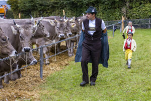 Appenzell, Appenzell Ausserrohden, Brauchtum, Landwirtschaft, Ostschweiz, Schweiz, Speicher, Suisse, Switzerland, Viehschau, Wirtschaft