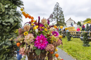 Appenzell, Appenzell Ausserrohden, Brauchtum, Landwirtschaft, Ostschweiz, Schweiz, Speicher, Suisse, Switzerland, Viehschau, Wirtschaft