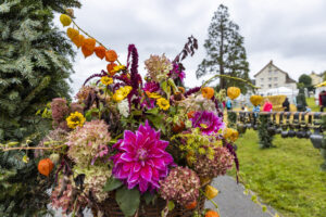 Appenzell, Appenzell Ausserrohden, Brauchtum, Landwirtschaft, Ostschweiz, Schweiz, Speicher, Suisse, Switzerland, Viehschau, Wirtschaft