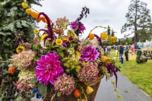 Appenzell, Appenzell Ausserrohden, Brauchtum, Landwirtschaft, Ostschweiz, Schweiz, Speicher, Suisse, Switzerland, Viehschau, Wirtschaft