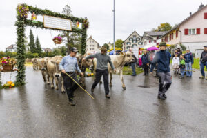 Appenzell, Appenzell Ausserrohden, Brauchtum, Landwirtschaft, Ostschweiz, Schweiz, Speicher, Suisse, Switzerland, Viehschau, Wirtschaft