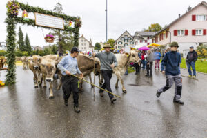 Appenzell, Appenzell Ausserrohden, Brauchtum, Landwirtschaft, Ostschweiz, Schweiz, Speicher, Suisse, Switzerland, Viehschau, Wirtschaft