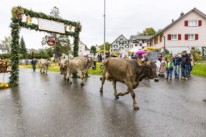 Appenzell, Appenzell Ausserrohden, Brauchtum, Landwirtschaft, Ostschweiz, Schweiz, Speicher, Suisse, Switzerland, Viehschau, Wirtschaft