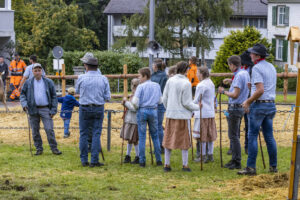 Appenzell, Appenzell Ausserrohden, Brauchtum, Landwirtschaft, Ostschweiz, Schweiz, Speicher, Suisse, Switzerland, Viehschau, Wirtschaft