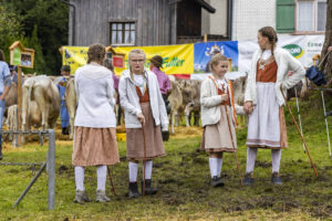 Appenzell, Appenzell Ausserrohden, Brauchtum, Landwirtschaft, Ostschweiz, Schweiz, Speicher, Suisse, Switzerland, Viehschau, Wirtschaft