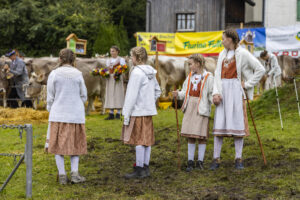 Appenzell, Appenzell Ausserrohden, Brauchtum, Landwirtschaft, Ostschweiz, Schweiz, Speicher, Suisse, Switzerland, Viehschau, Wirtschaft