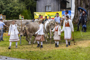 Appenzell, Appenzell Ausserrohden, Brauchtum, Landwirtschaft, Ostschweiz, Schweiz, Speicher, Suisse, Switzerland, Viehschau, Wirtschaft