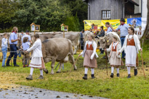 Appenzell, Appenzell Ausserrohden, Brauchtum, Landwirtschaft, Ostschweiz, Schweiz, Speicher, Suisse, Switzerland, Viehschau, Wirtschaft