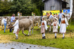 Appenzell, Appenzell Ausserrohden, Brauchtum, Landwirtschaft, Ostschweiz, Schweiz, Speicher, Suisse, Switzerland, Viehschau, Wirtschaft
