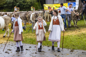 Appenzell, Appenzell Ausserrohden, Brauchtum, Landwirtschaft, Ostschweiz, Schweiz, Speicher, Suisse, Switzerland, Viehschau, Wirtschaft
