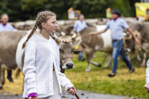 Appenzell, Appenzell Ausserrohden, Brauchtum, Landwirtschaft, Ostschweiz, Schweiz, Speicher, Suisse, Switzerland, Viehschau, Wirtschaft