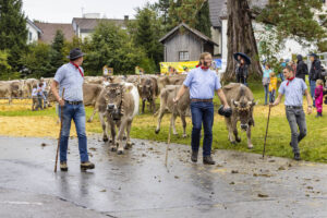 Appenzell, Appenzell Ausserrohden, Brauchtum, Landwirtschaft, Ostschweiz, Schweiz, Speicher, Suisse, Switzerland, Viehschau, Wirtschaft