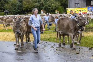 Appenzell, Appenzell Ausserrohden, Brauchtum, Landwirtschaft, Ostschweiz, Schweiz, Speicher, Suisse, Switzerland, Viehschau, Wirtschaft