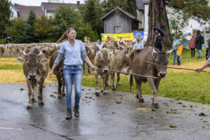 Appenzell, Appenzell Ausserrohden, Brauchtum, Landwirtschaft, Ostschweiz, Schweiz, Speicher, Suisse, Switzerland, Viehschau, Wirtschaft