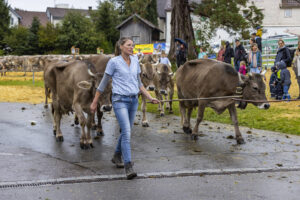 Appenzell, Appenzell Ausserrohden, Brauchtum, Landwirtschaft, Ostschweiz, Schweiz, Speicher, Suisse, Switzerland, Viehschau, Wirtschaft