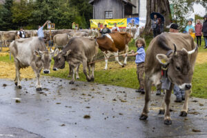 Appenzell, Appenzell Ausserrohden, Brauchtum, Landwirtschaft, Ostschweiz, Schweiz, Speicher, Suisse, Switzerland, Viehschau, Wirtschaft