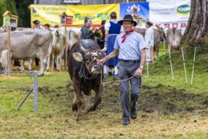 Appenzell, Appenzell Ausserrohden, Brauchtum, Landwirtschaft, Ostschweiz, Schweiz, Speicher, Suisse, Switzerland, Viehschau, Wirtschaft