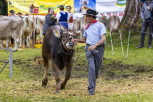Appenzell, Appenzell Ausserrohden, Brauchtum, Landwirtschaft, Ostschweiz, Schweiz, Speicher, Suisse, Switzerland, Viehschau, Wirtschaft