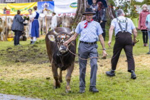 Appenzell, Appenzell Ausserrohden, Brauchtum, Landwirtschaft, Ostschweiz, Schweiz, Speicher, Suisse, Switzerland, Viehschau, Wirtschaft