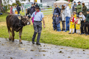 Appenzell, Appenzell Ausserrohden, Brauchtum, Landwirtschaft, Ostschweiz, Schweiz, Speicher, Suisse, Switzerland, Viehschau, Wirtschaft