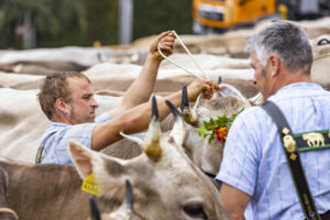 Appenzell, Appenzell Ausserrohden, Brauchtum, Landwirtschaft, Ostschweiz, Schweiz, Speicher, Suisse, Switzerland, Viehschau, Wirtschaft