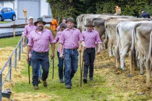 Appenzell, Appenzell Ausserrohden, Brauchtum, Landwirtschaft, Ostschweiz, Schweiz, Speicher, Suisse, Switzerland, Viehschau, Wirtschaft