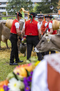 Appenzell, Appenzell Ausserrohden, Brauchtum, Landwirtschaft, Ostschweiz, Schweiz, Speicher, Suisse, Switzerland, Viehschau, Wirtschaft