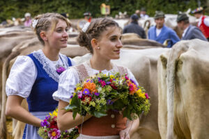 Appenzell, Appenzell Ausserrohden, Brauchtum, Landwirtschaft, Ostschweiz, Schweiz, Speicher, Suisse, Switzerland, Viehschau, Wirtschaft