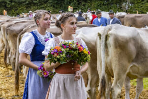 Appenzell, Appenzell Ausserrohden, Brauchtum, Landwirtschaft, Ostschweiz, Schweiz, Speicher, Suisse, Switzerland, Viehschau, Wirtschaft