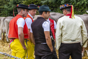 Appenzell, Appenzell Ausserrohden, Brauchtum, Landwirtschaft, Ostschweiz, Schweiz, Speicher, Suisse, Switzerland, Viehschau, Wirtschaft