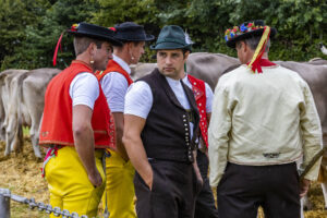 Appenzell, Appenzell Ausserrohden, Brauchtum, Landwirtschaft, Ostschweiz, Schweiz, Speicher, Suisse, Switzerland, Viehschau, Wirtschaft