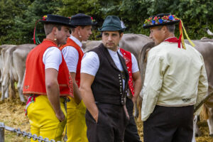 Appenzell, Appenzell Ausserrohden, Brauchtum, Landwirtschaft, Ostschweiz, Schweiz, Speicher, Suisse, Switzerland, Viehschau, Wirtschaft