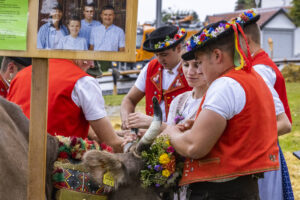 Appenzell, Appenzell Ausserrohden, Brauchtum, Landwirtschaft, Ostschweiz, Schweiz, Speicher, Suisse, Switzerland, Viehschau, Wirtschaft