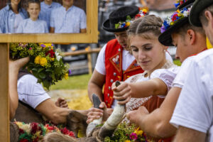 Appenzell, Appenzell Ausserrohden, Brauchtum, Landwirtschaft, Ostschweiz, Schweiz, Speicher, Suisse, Switzerland, Viehschau, Wirtschaft