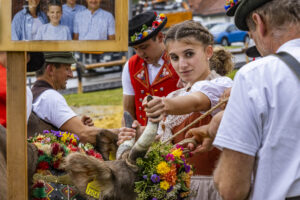 Appenzell, Appenzell Ausserrohden, Brauchtum, Landwirtschaft, Ostschweiz, Schweiz, Speicher, Suisse, Switzerland, Viehschau, Wirtschaft