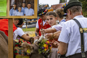Appenzell, Appenzell Ausserrohden, Brauchtum, Landwirtschaft, Ostschweiz, Schweiz, Speicher, Suisse, Switzerland, Viehschau, Wirtschaft