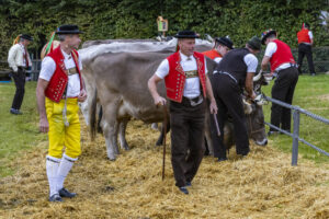 Appenzell, Appenzell Ausserrohden, Brauchtum, Landwirtschaft, Ostschweiz, Schweiz, Speicher, Suisse, Switzerland, Viehschau, Wirtschaft