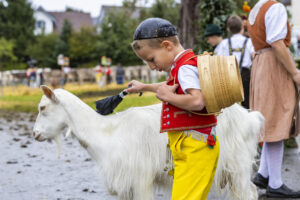 Appenzell, Appenzell Ausserrohden, Brauchtum, Landwirtschaft, Ostschweiz, Schweiz, Speicher, Suisse, Switzerland, Viehschau, Wirtschaft
