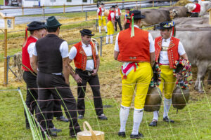 Appenzell, Appenzell Ausserrohden, Brauchtum, Landwirtschaft, Ostschweiz, Schweiz, Speicher, Suisse, Switzerland, Viehschau, Wirtschaft