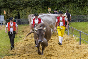 Appenzell, Appenzell Ausserrohden, Brauchtum, Landwirtschaft, Ostschweiz, Schweiz, Speicher, Suisse, Switzerland, Viehschau, Wirtschaft