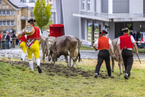 Appenzell, Appenzell Ausserrohden, Brauchtum, Landwirtschaft, Ostschweiz, Schweiz, Speicher, Suisse, Switzerland, Viehschau, Wirtschaft
