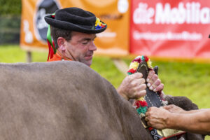 Appenzell, Appenzell Ausserrohden, Brauchtum, Landwirtschaft, Ostschweiz, Schweiz, Speicher, Suisse, Switzerland, Viehschau, Wirtschaft